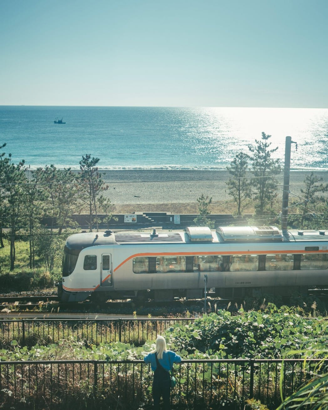 海辺を走る電車を見つめている女性の写真