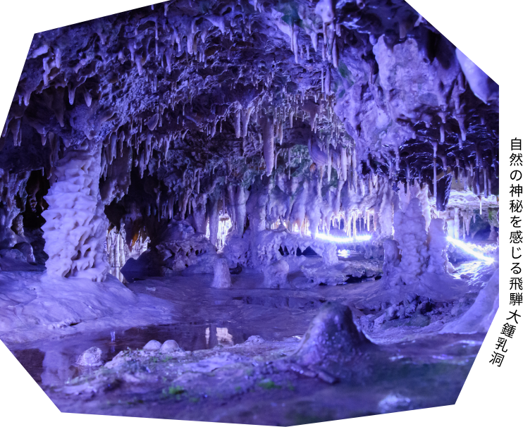 自然の神秘を感じる飛騨 大鍾乳洞