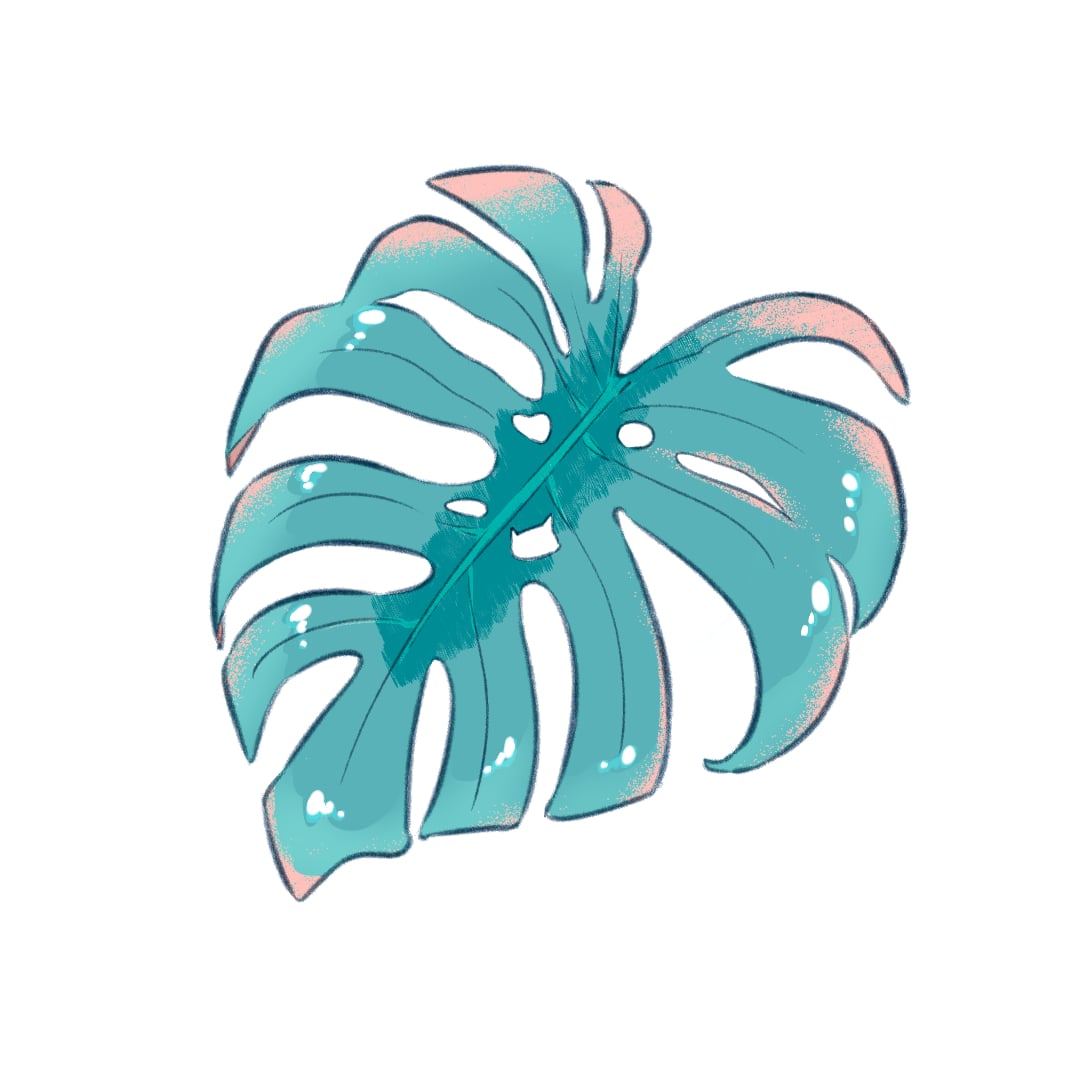 タミウラ/Tamiura