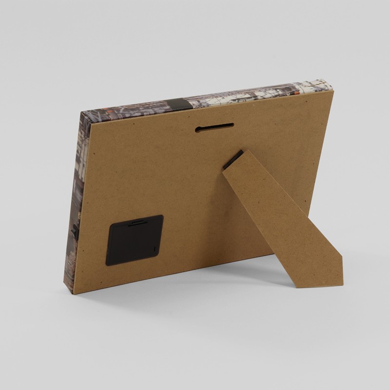 ●キャンバスライト・３１３系 【宅配】313系