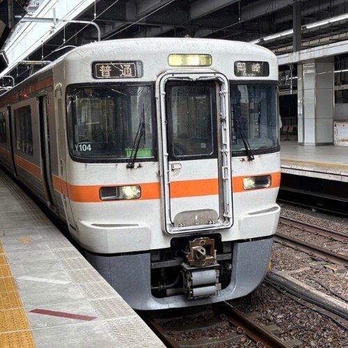 ●トレインパスケース（313系） 【宅配】ﾄﾚｲﾝﾊﾟｽｹｰｽ　313系