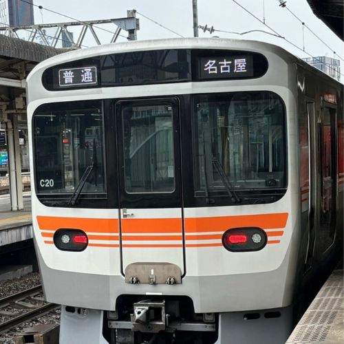 ●トレインパスケース（315系） 【宅配】ﾄﾚｲﾝﾊﾟｽｹｰｽ　315系