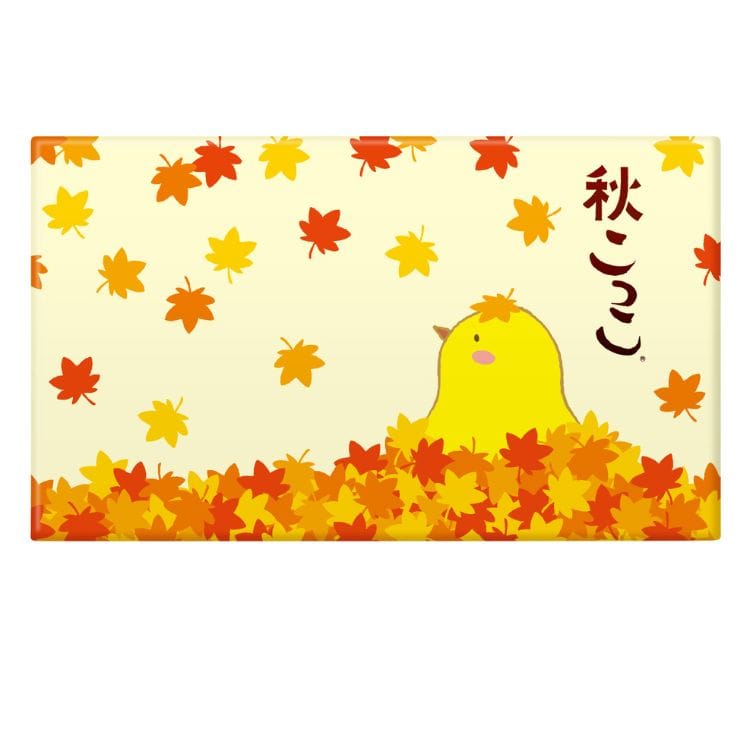 【季節限定】秋こっこ6個入（ミホミ） 【宅配】