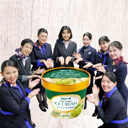 ｼﾝｶﾝｾﾝｽｺﾞｲｶﾀｲｱｲｽ　詰合せ11個入り（ﾊﾞﾆﾗ4+ﾏｽｶｯﾄ3+ﾓｶ2+ｽﾄﾛﾍﾞﾘｰ2）【送料無料】