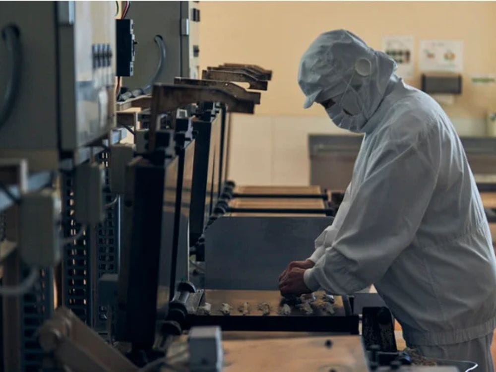 ◆東京もんじゃ焼きえびせんべい6袋（桂新堂） 【宅配】6袋