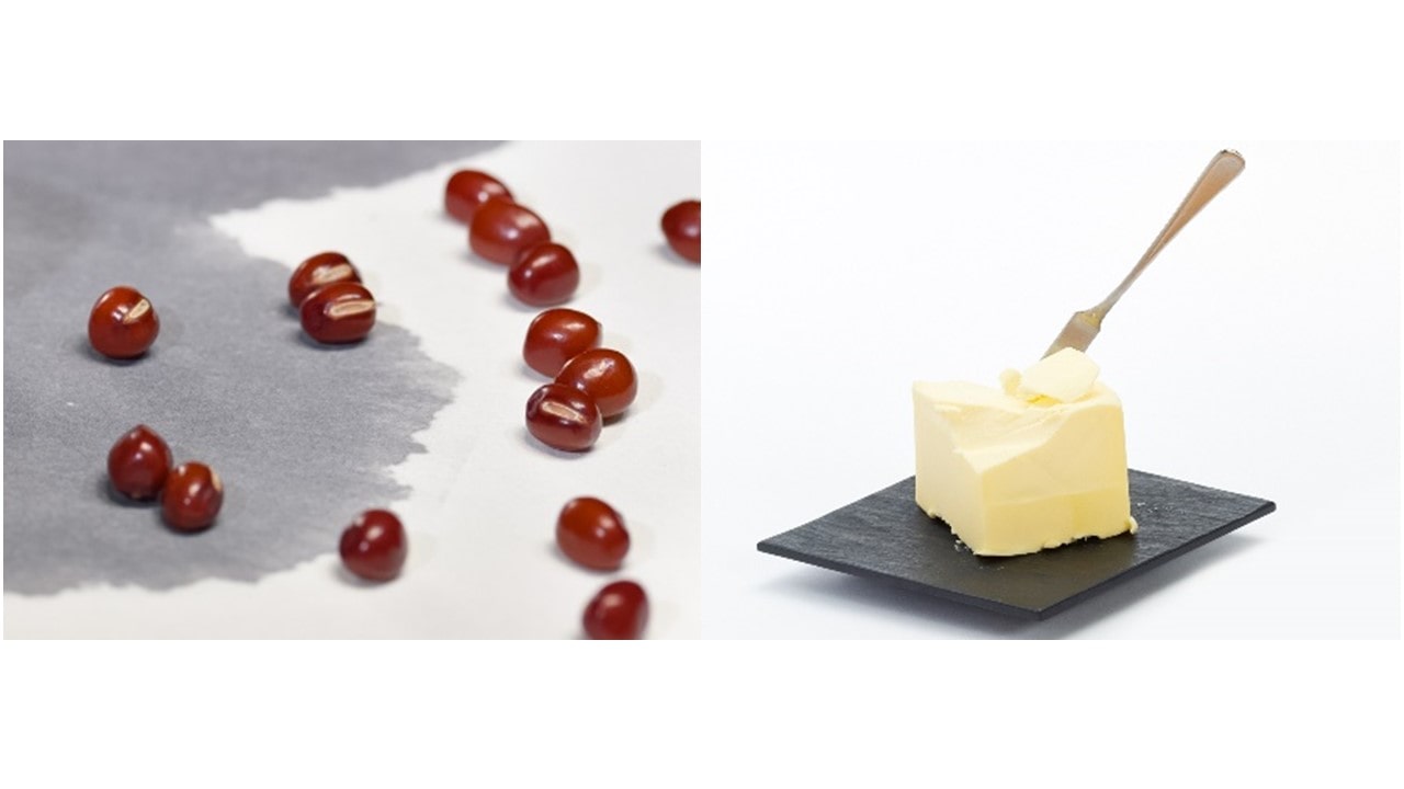 大阪レトロカフェドーラ2個入（NOVOVENTO） 【宅配】2個入