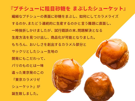 ◆東京カラメリゼ シューケットスタンディングパック(上野風月堂) 【宅配】パック