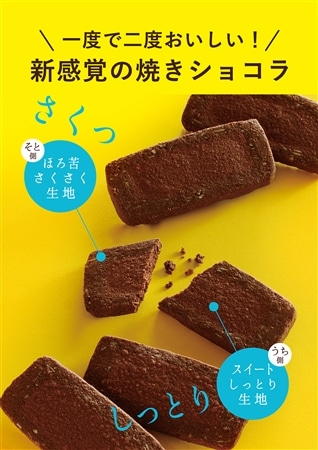 東京さくさくショコラ16枚入(美十) 【宅配】16枚入