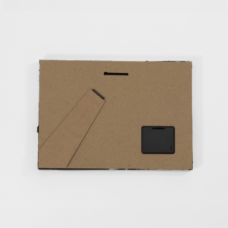 ●キャンバスライト・３８３系 【宅配】383系