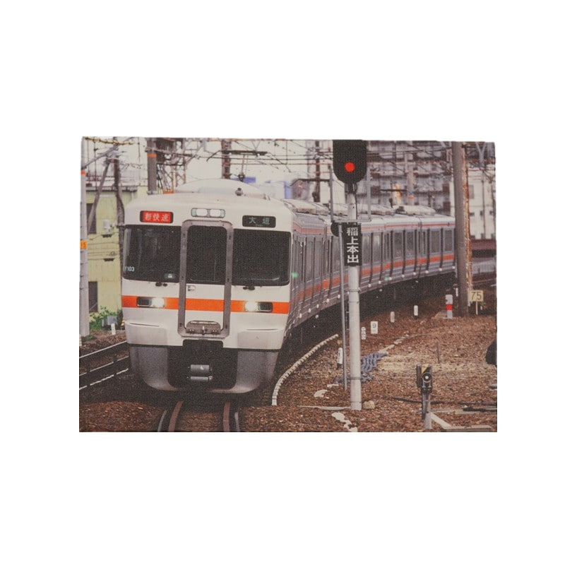 ●キャンバスライト・３１３系 【宅配】313系