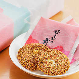 桜えびの舞 30個(フジノネ)