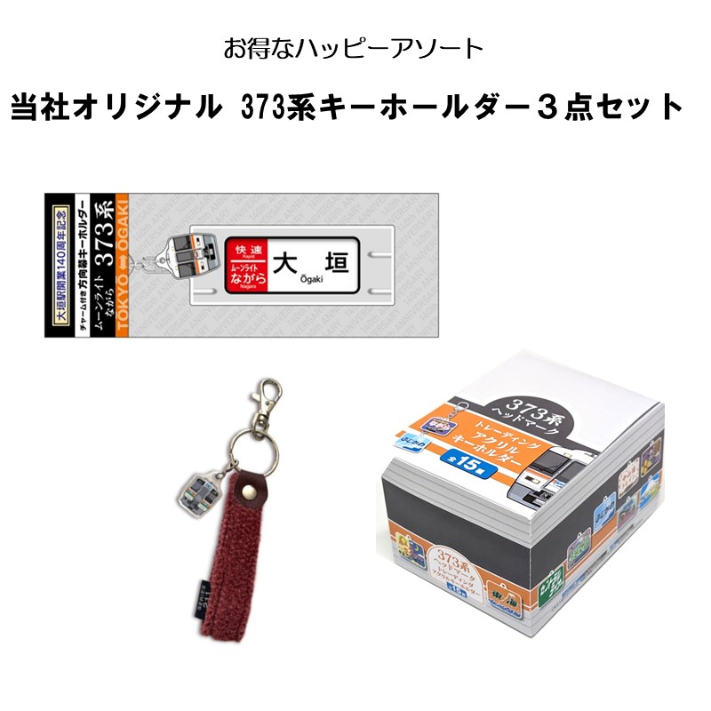 ●373系セット