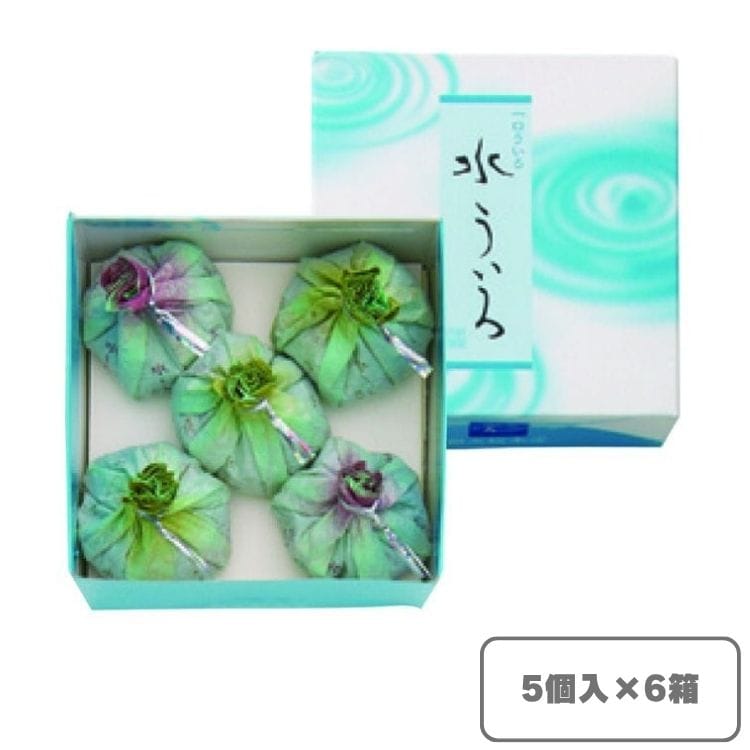【送料込み】水ういろ5個入×6箱（餅文總本店）
