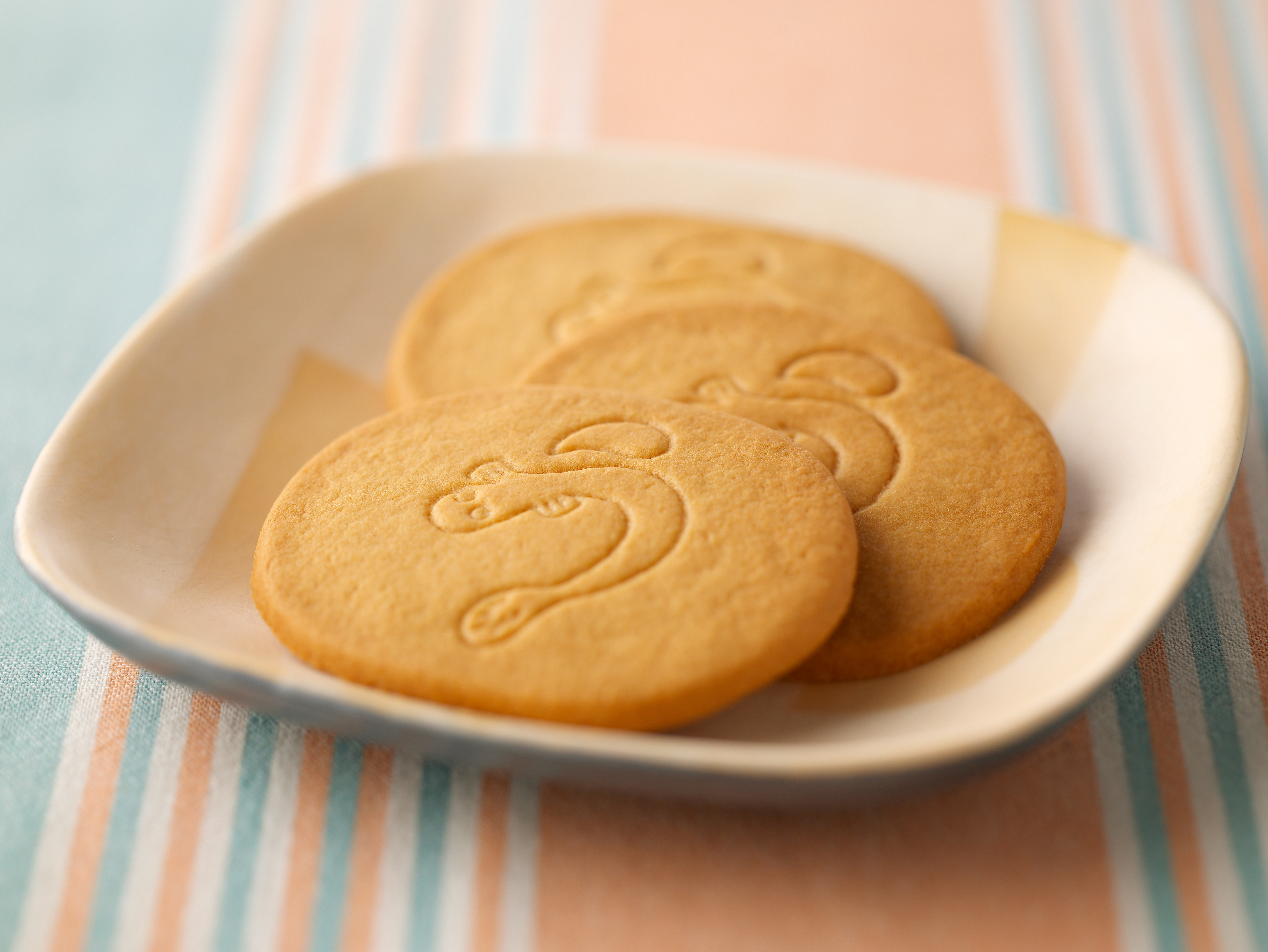 ◆【静岡駅受取り】うなぎサブレ 20枚(春華堂)