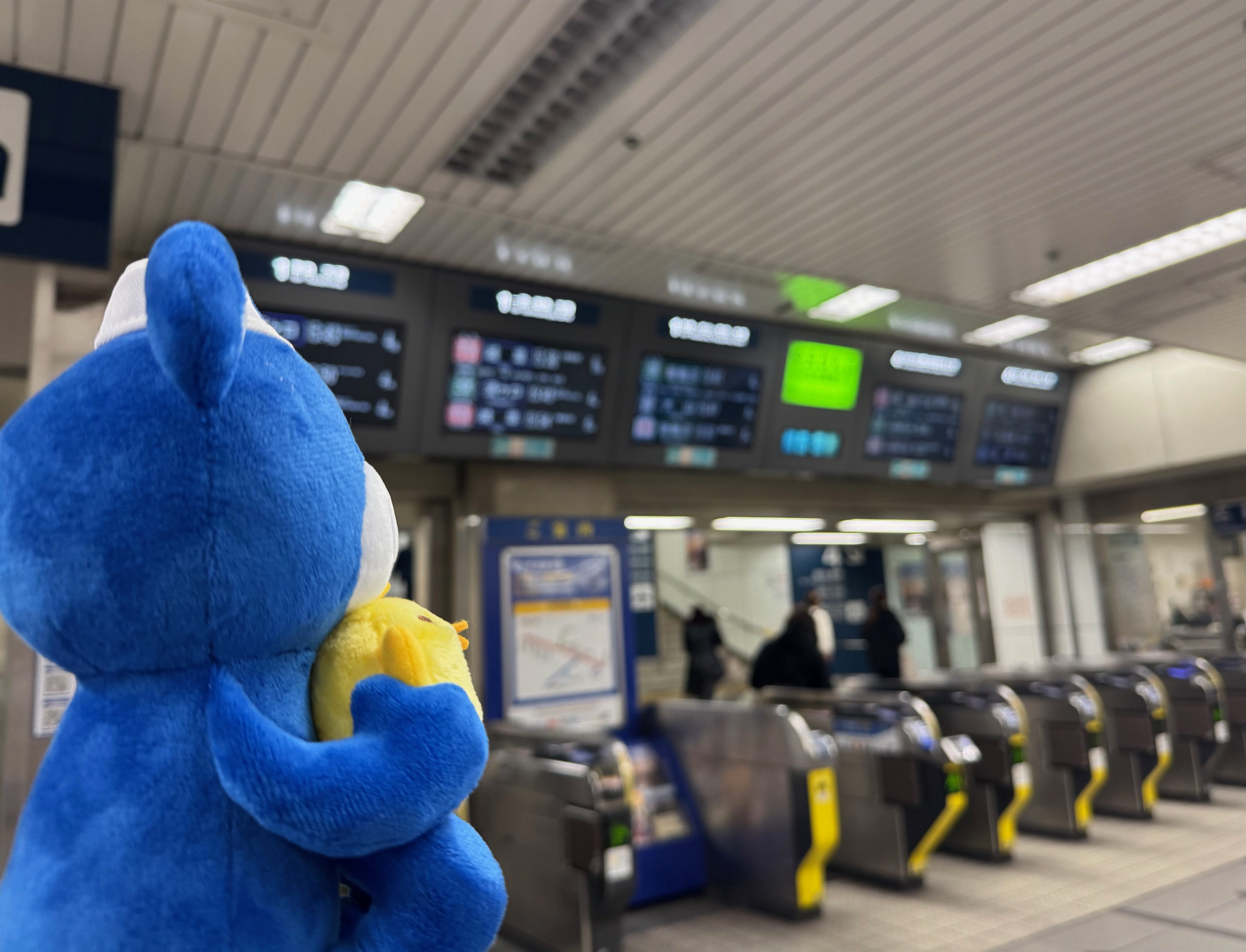 こぐまくん×ぴよりん　だっこぬいぐるみ