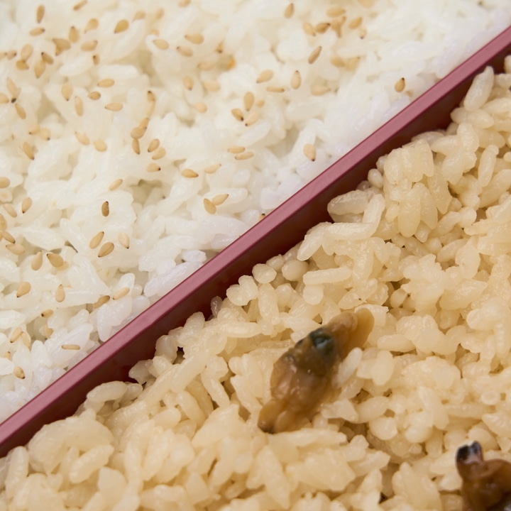 二段重　海【リニア・鉄道館受取】 【リニア・鉄道館】