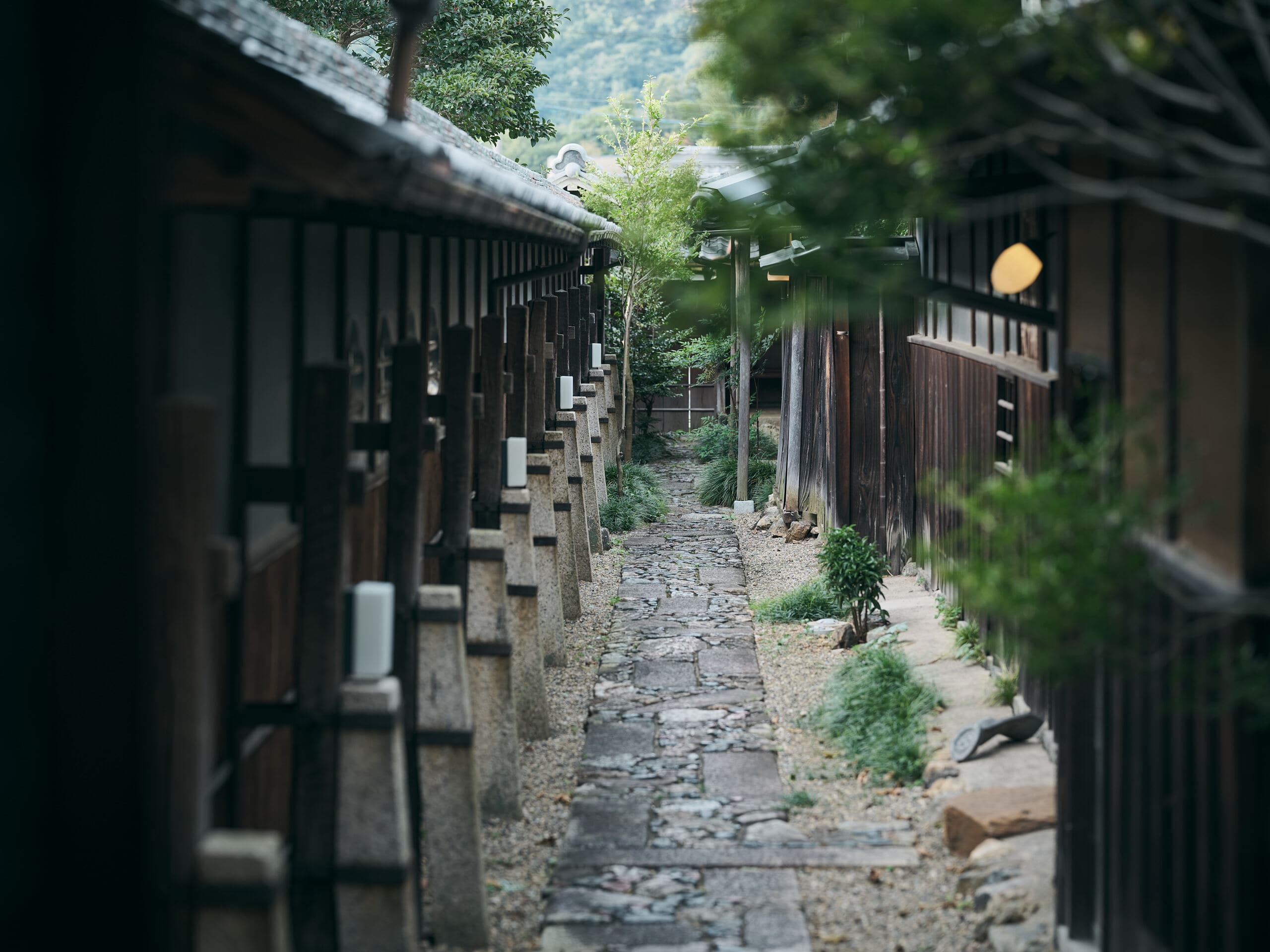 【募集終了】古民家おじさんと出会う ー見て学ぶ古民家改修術 11月19日（土）