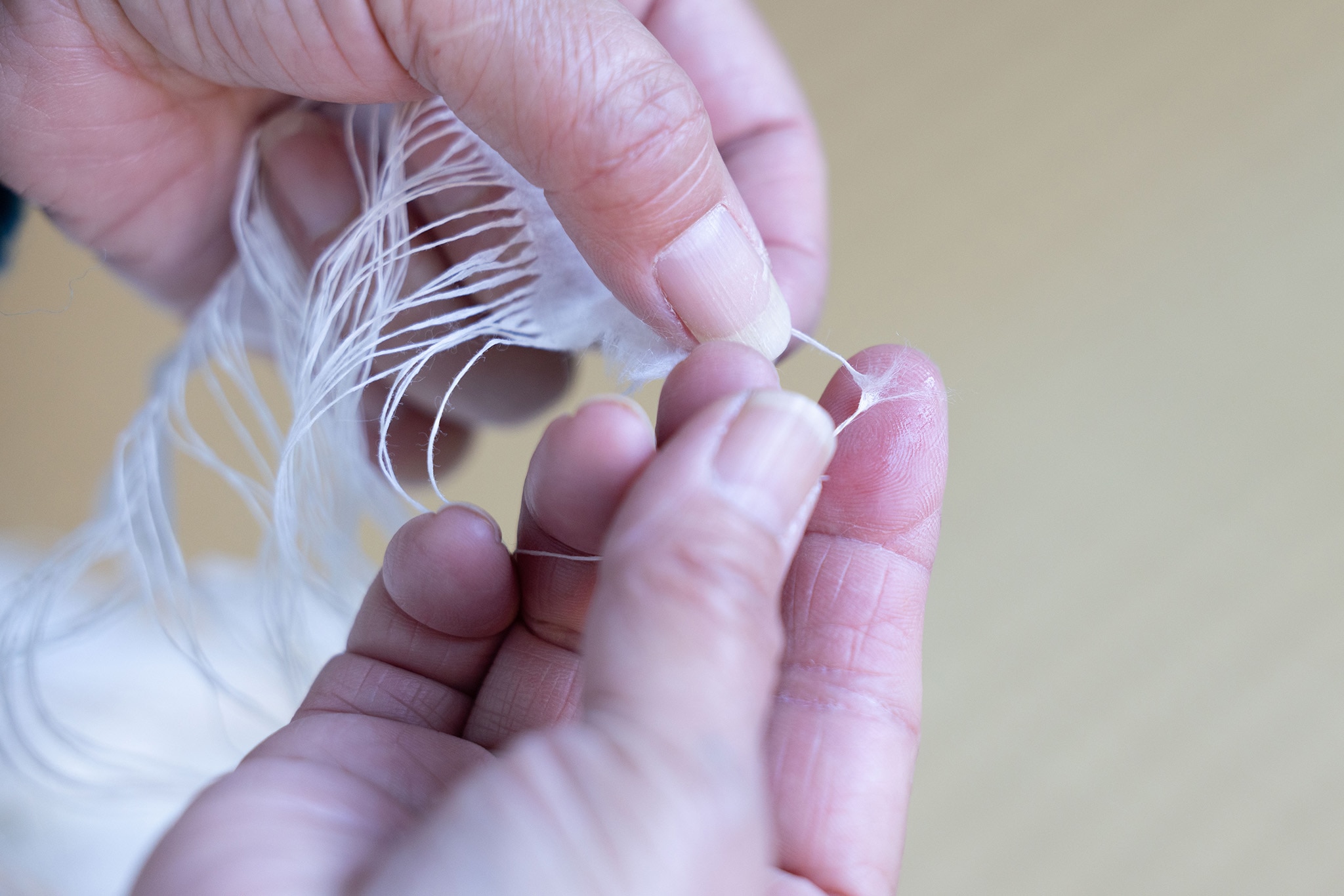 【募集終了】紙布（しふ）職人に出会う ー和紙から糸を紡ぎ出す紙布作り体験 12月17-18日