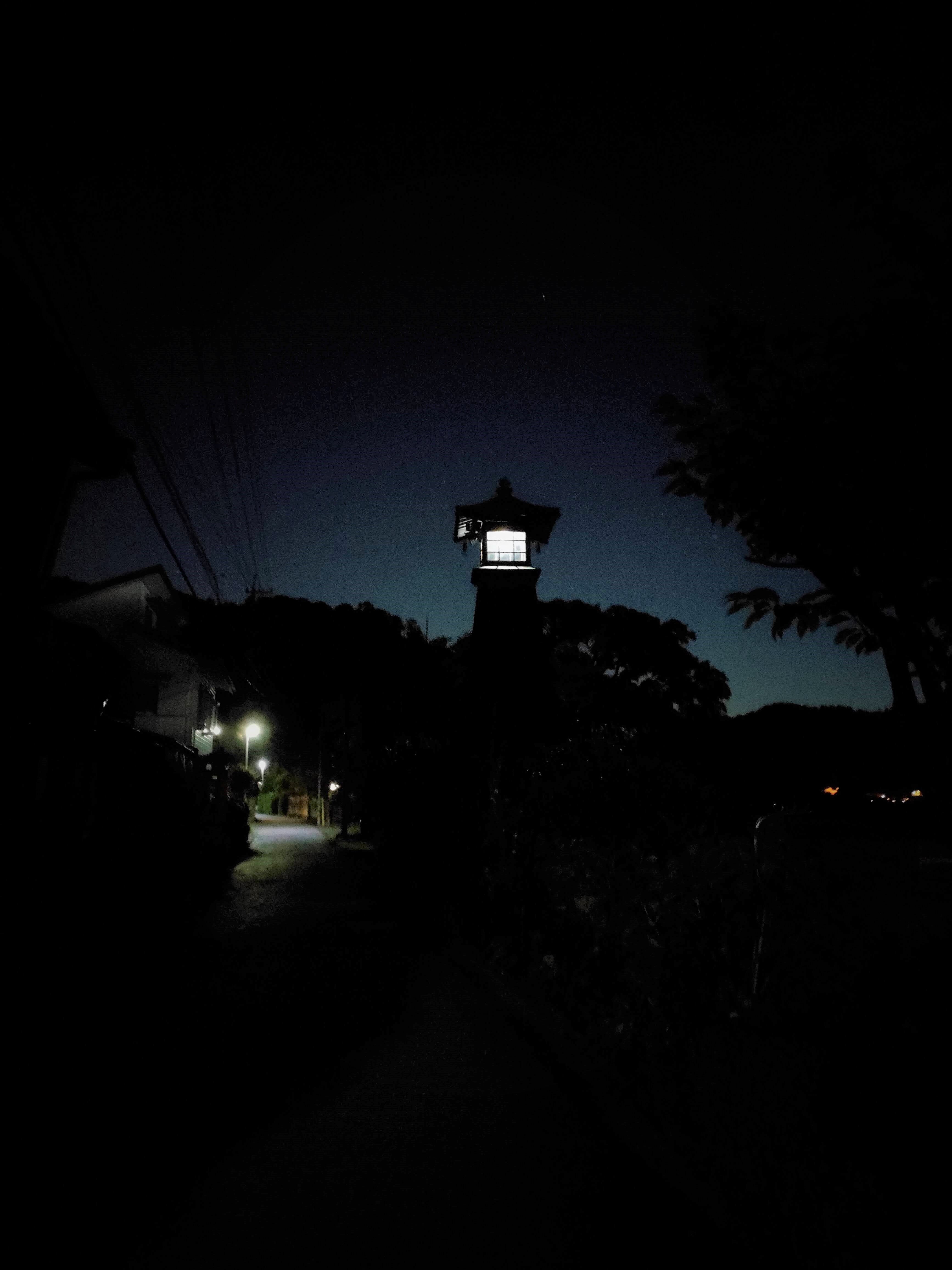 【募集終了】ネイチャーガイドに出会う ーナイトハイクで静寂の森に出かけよう 11月12日(土)・大人