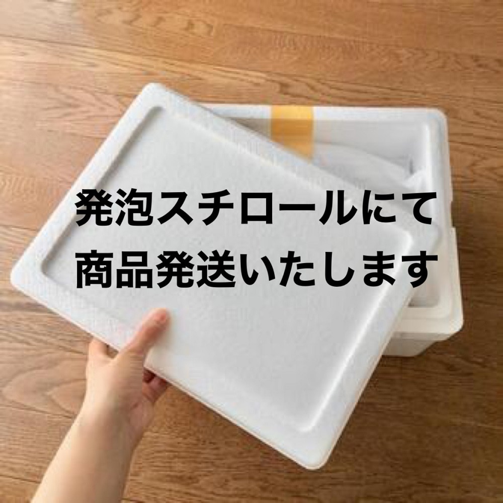 北海道産　生ボタンエビ6~7尾入り