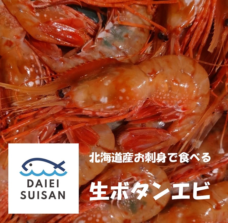 北海道産 生ボタンエビ6~7尾入り
