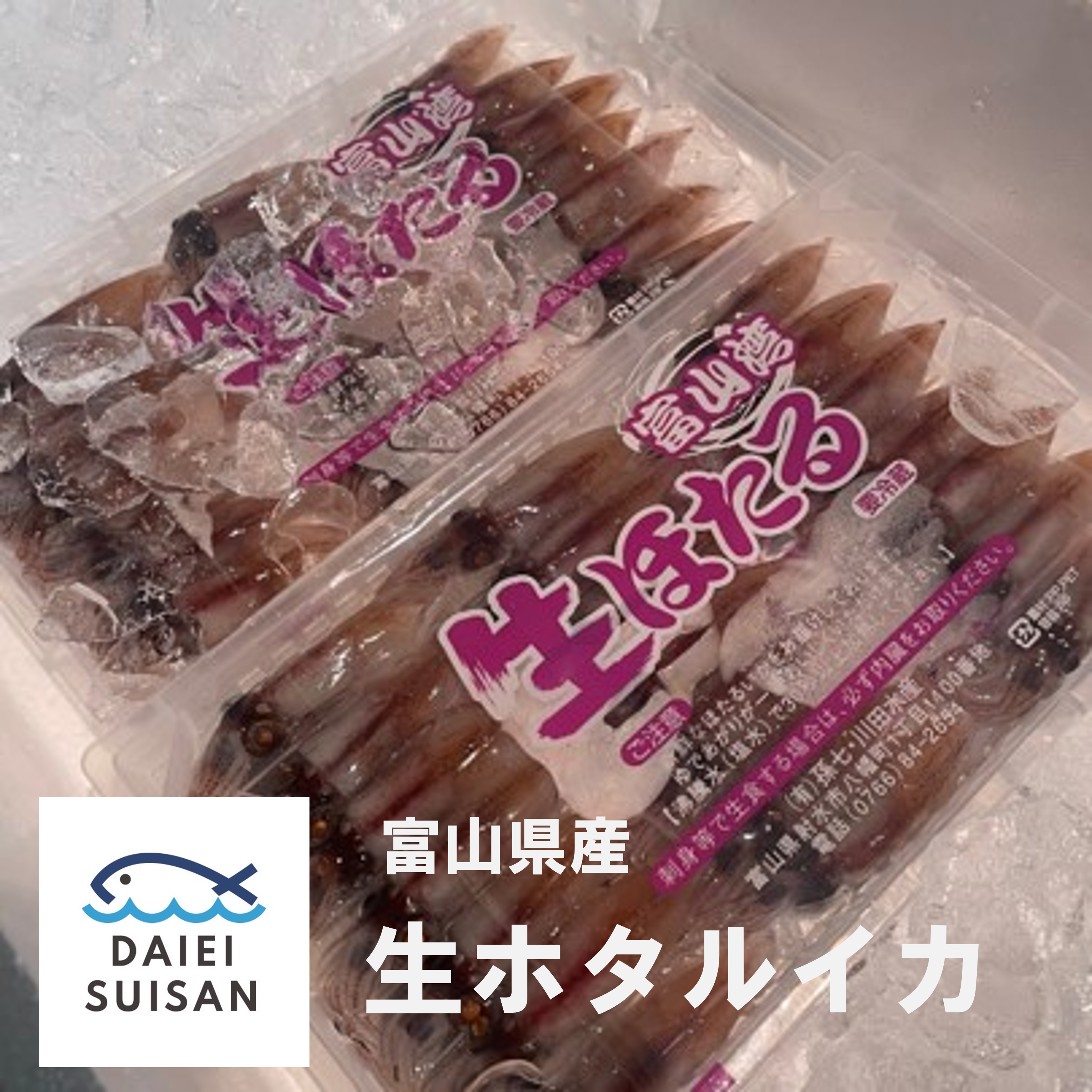 春の人気商品!富山県産生ホタルイカ