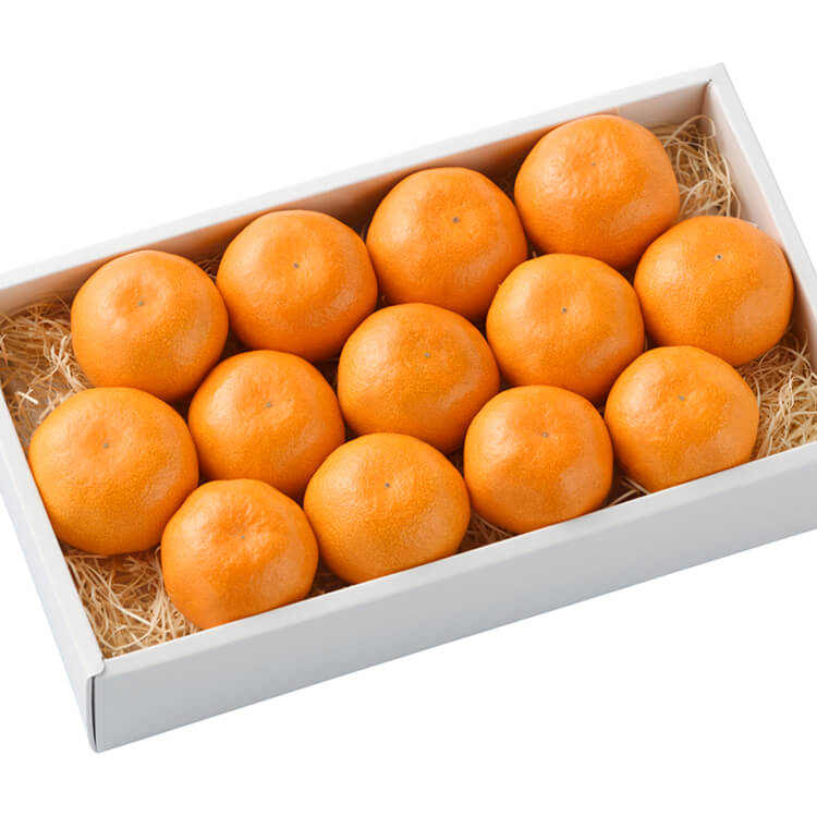 【静岡県】ハウスみかん １.１ｋｇ(フルーツワールド)【送料込み】