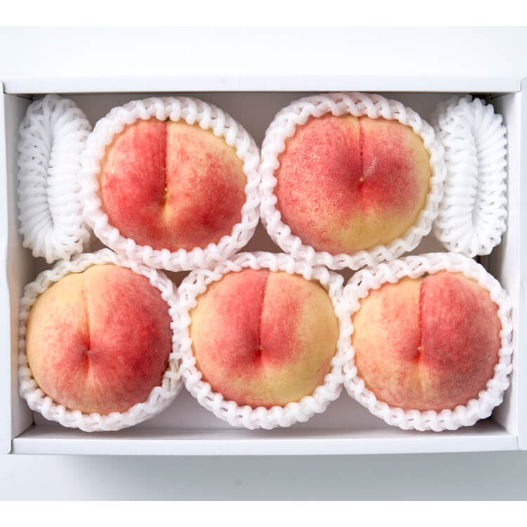 【和歌山県】和歌山あら川の桃 ５玉(アデリー)【送料込み】
