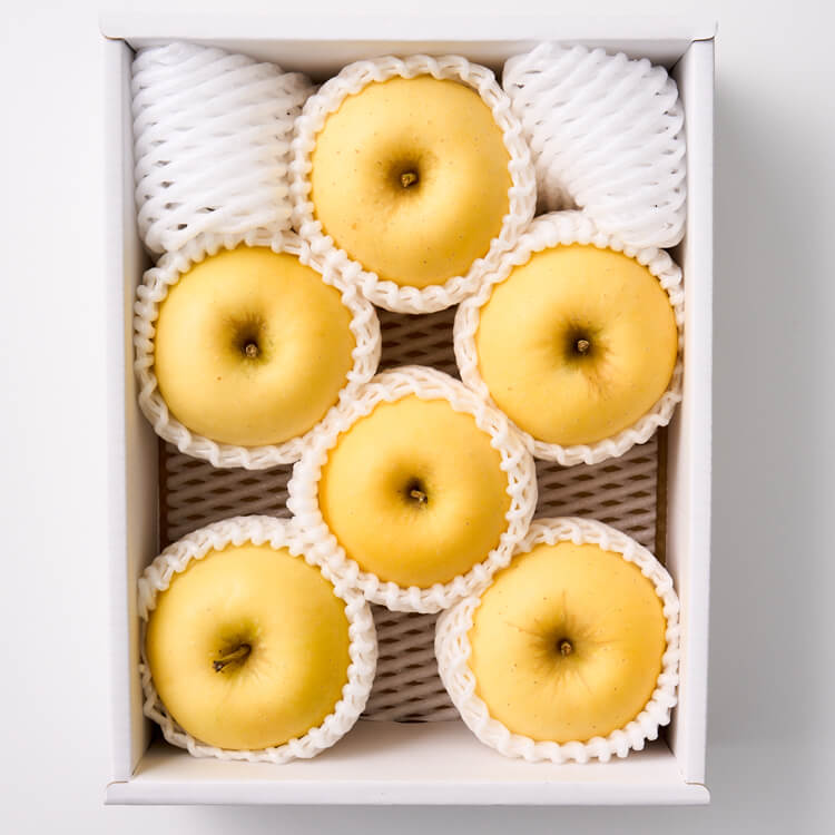 りんご SANCHICOLOR（サンチカラー）|JR東海MARKET|産直|特産品|名産品|生産者
