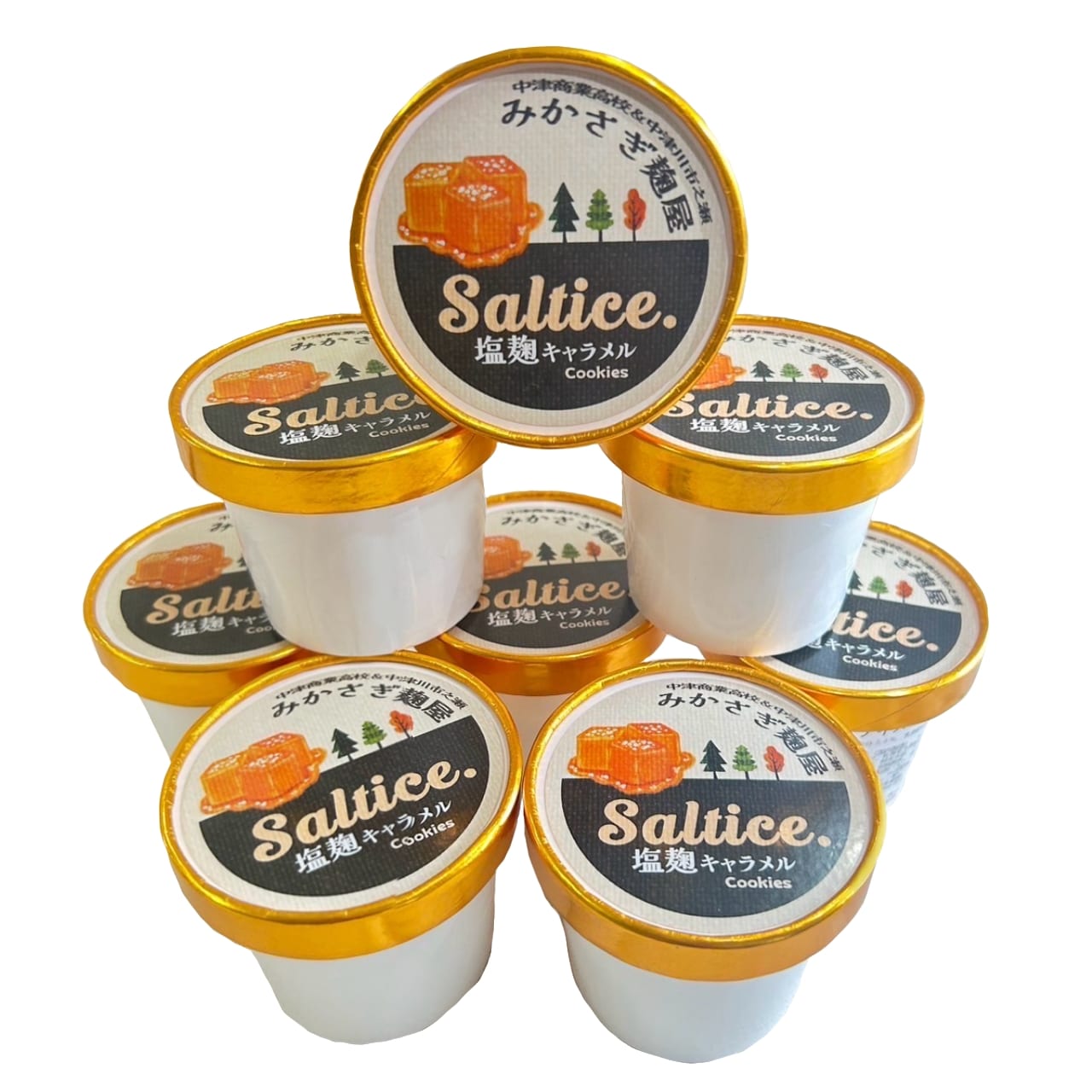 【送料込み】【岐阜県】塩麹キャラメルクッキーアイスSaltice 8個入 ※冷凍配送 【熨斗対応可】 ８個入