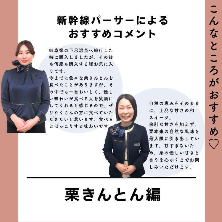 【数量限定】【送料込み】【岐阜県】新杵堂　岐阜県中津川　国産栗きんとん１０個（新幹線パーサーオリジナルスカーフ１枚付）　※冷凍配送