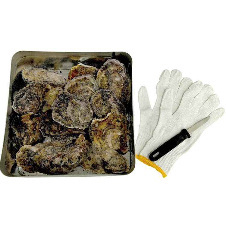 【広島県】広島牡蠣のカンカン焼き(広島県漁業協同組合連合会) ※冷凍配送