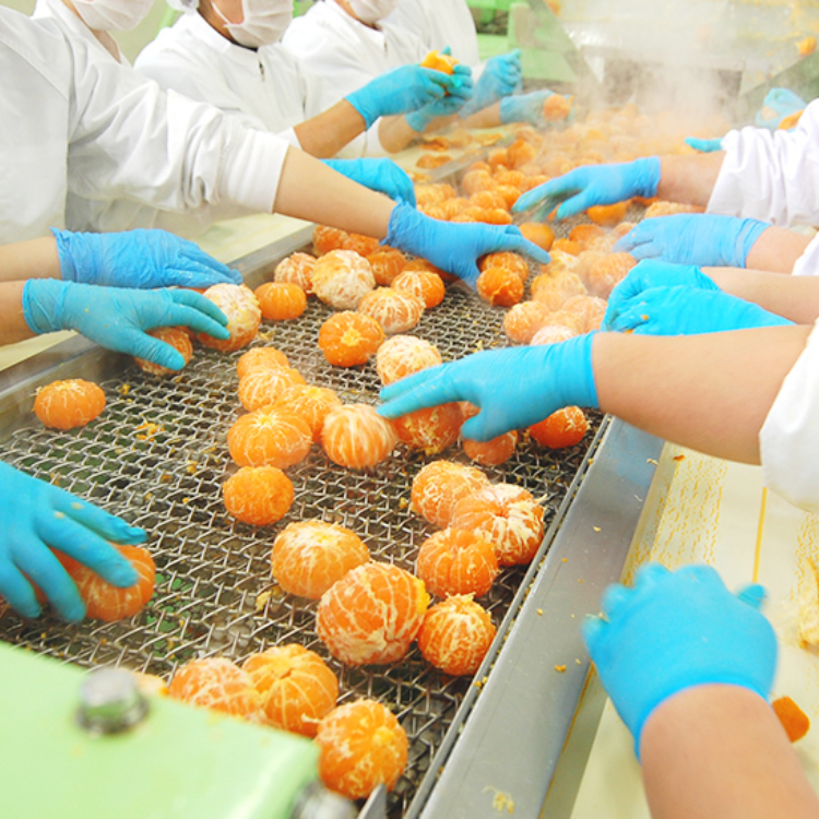 【数量限定】【送料込み】【和歌山県】早和果樹園飲むみかんジュース１８０ml×１２本（新幹線パーサーオリジナルスカーフ１枚付）