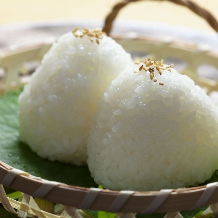 【送料込み】【山梨県】令和7年産 新米 五ツ星お米マイスター厳選米 山梨県北杜市 藤山農園 農林48号 武川米 3kg(戸塚正商店)