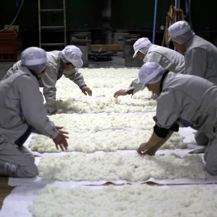 【送料込み】【愛知県】知多ぶる　純米吟醸　ワイン酵母 ※冷蔵配送