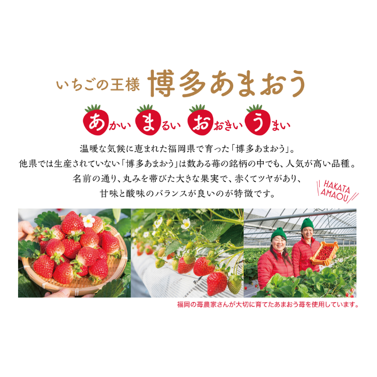 【父の日限定】【福岡県】博多あまおう たっぷり苺のアイス【送料込み】 ※冷凍配送