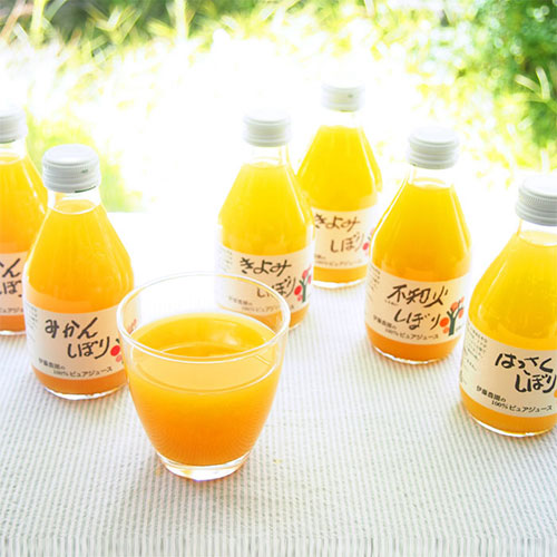 【送料込み】【和歌山県】伊藤農園　１００％ピュアジュース５種飲み比べ（１０本）