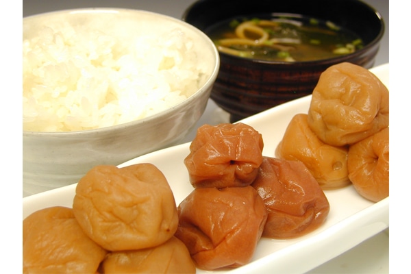 【送料込み】【和歌山県】うす塩紀州梅干セット「華撰」9入り