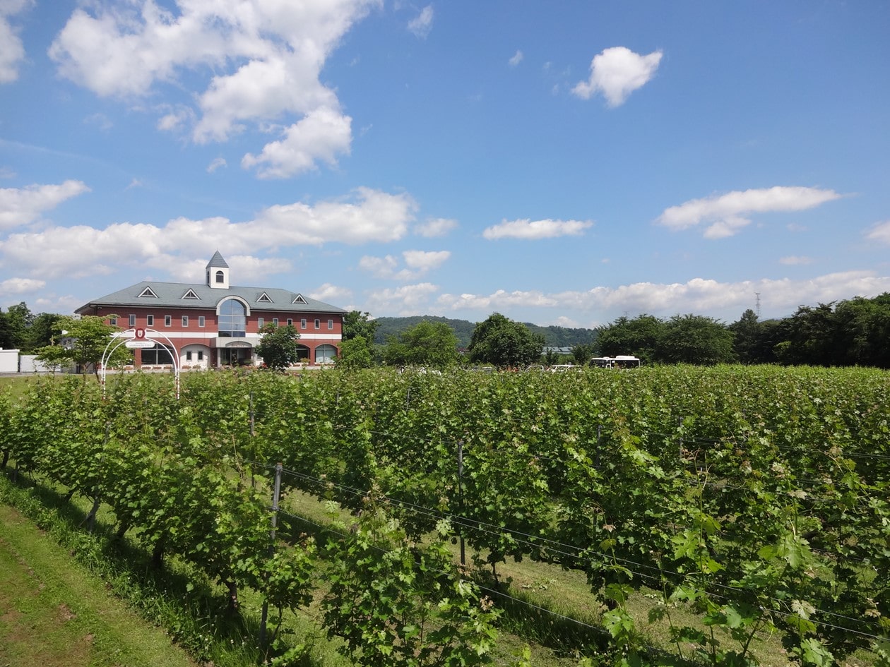 【送料込み】【山形県】朝日町 スパークリング デラウェア辛口白 750ml（朝日町ワイン）