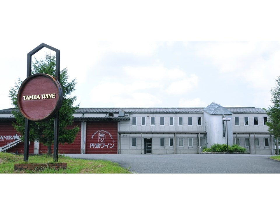 【送料込み】【京都府】丹波ワイン てぐみ デラウェア 白 750ml（丹波ワイン）