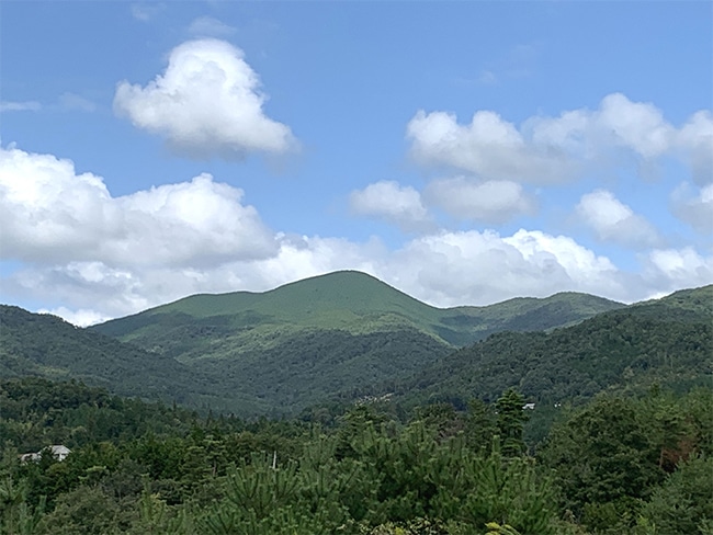 【送料込み】【広島県】醉心山根本店 上撰 醉心 特別本醸造「ブナのしずく」青 720ml x1