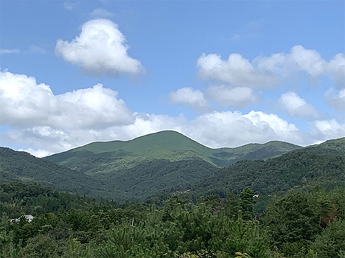 【送料込み】【広島県】醉心山根本店 醉心 純米酒「ブナのしずく」 720ml x1
