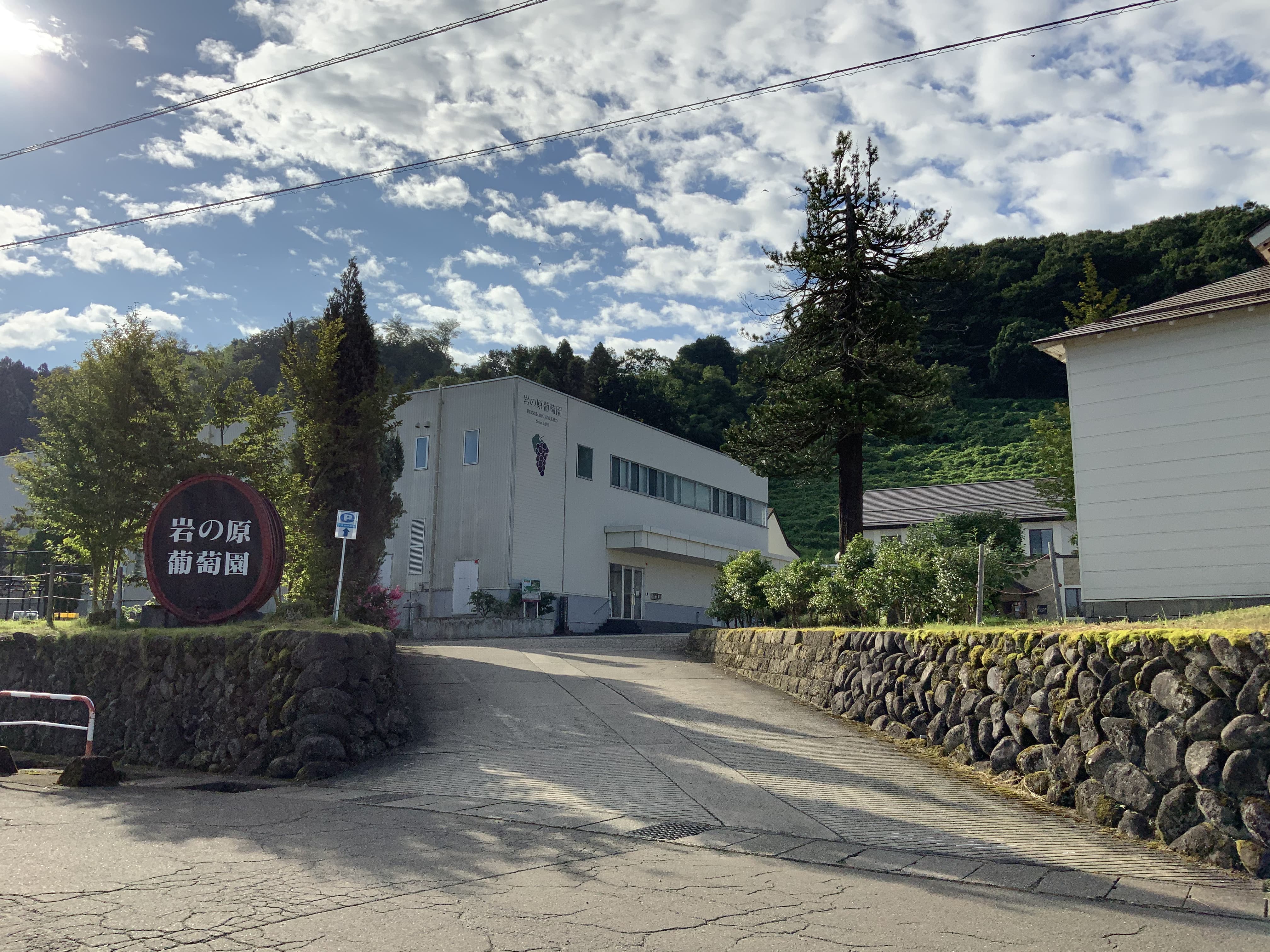 【送料込み】【新潟県】岩の原 善 甘口 赤  720ml（岩の原葡萄園）