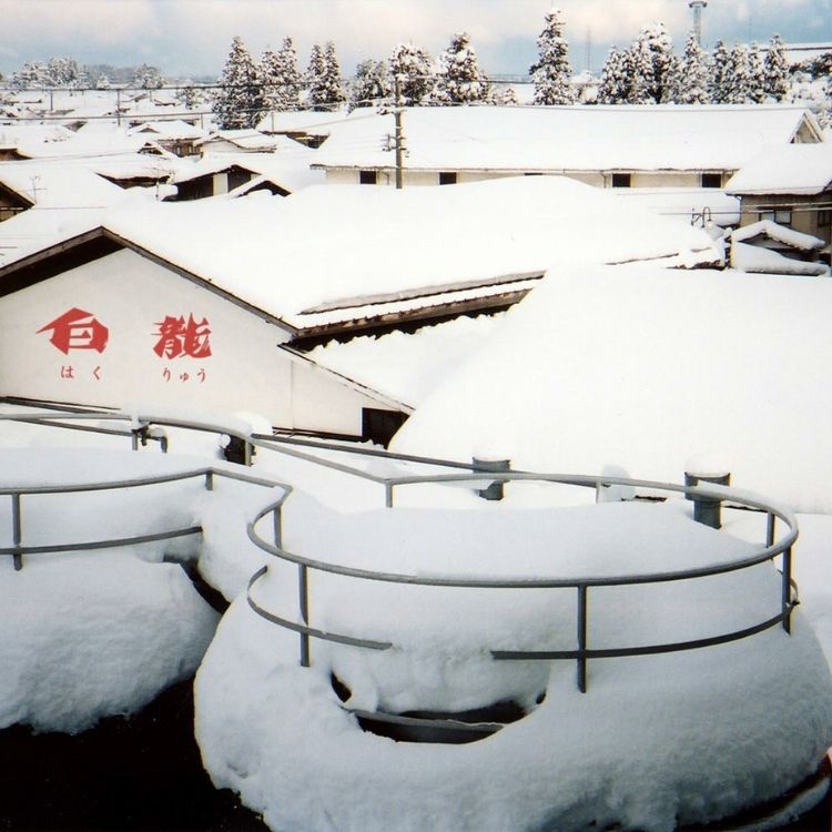 【11月13日店頭受取】【新潟県】白龍　純米吟醸生原酒　今朝しぼり720ml（白龍酒造） ※10月31日注文受付締め切り