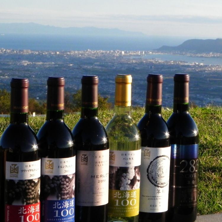 【送料込み】【北海道】はこだてわいん 新酒ポートランド 白 720ml(はこだてわいん)