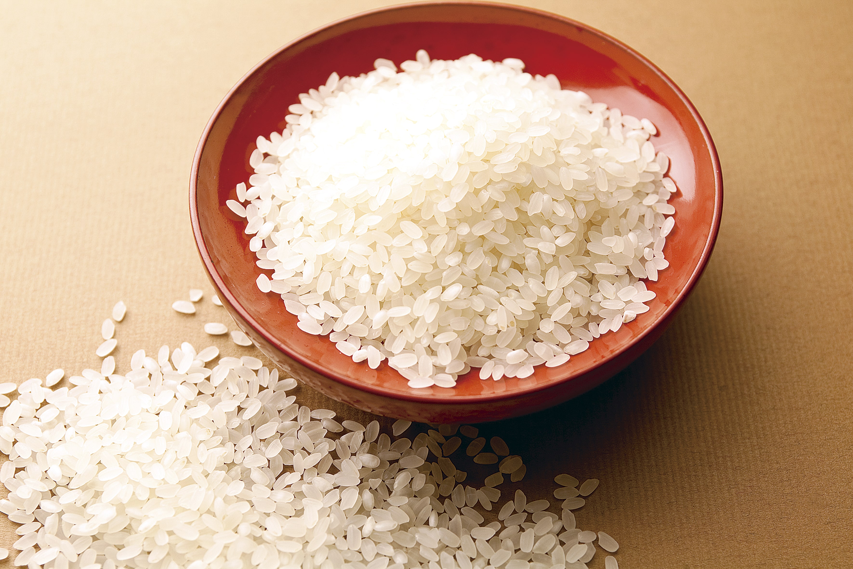 【送料込み】【岐阜県】五平餅１２本入り（古屋産業） 【熨斗対応可】