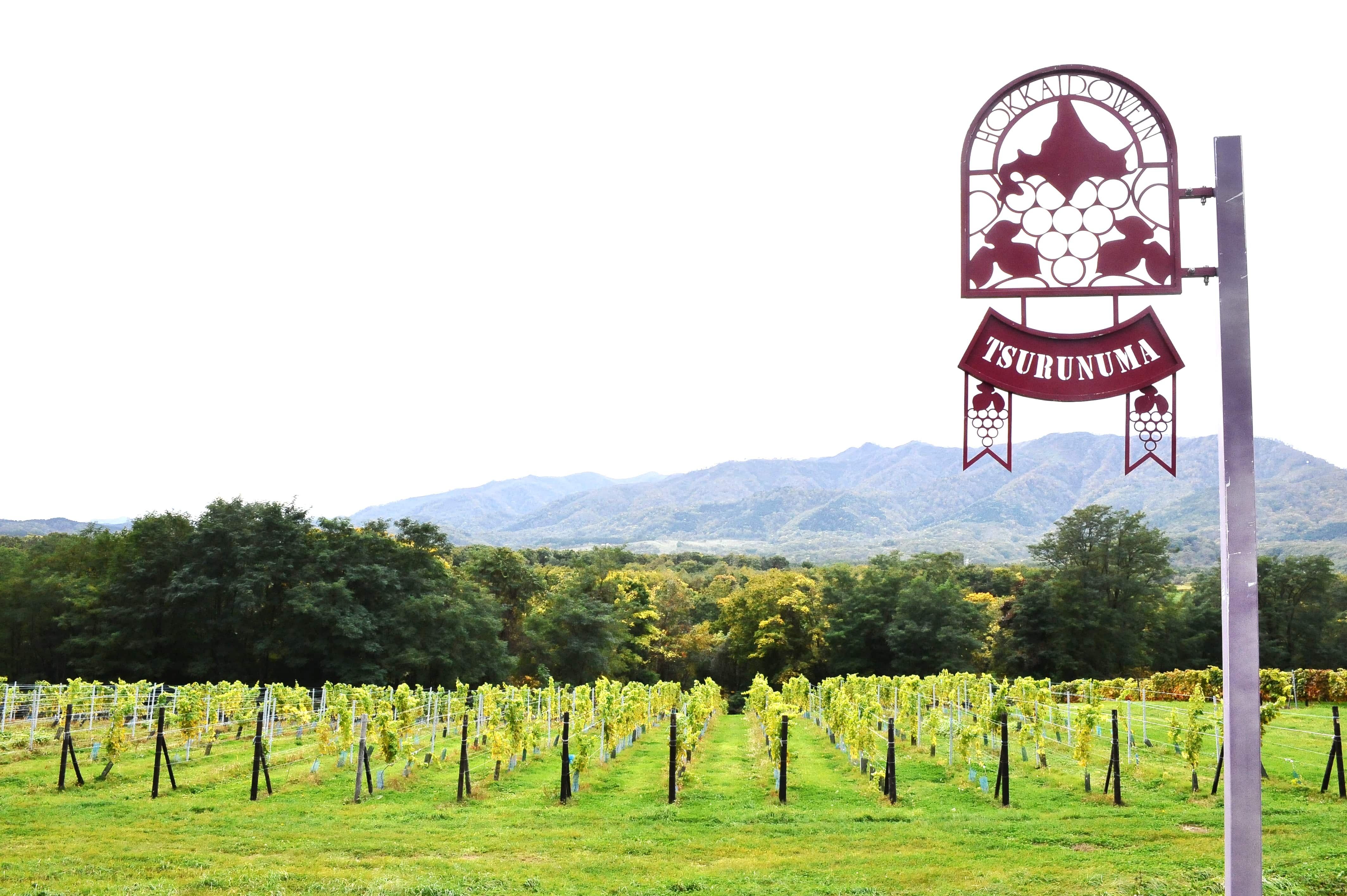 【送料込み】【北海道】北海道 おたる 特撰 ナイヤガラ 白 720ml（北海道ワイン）