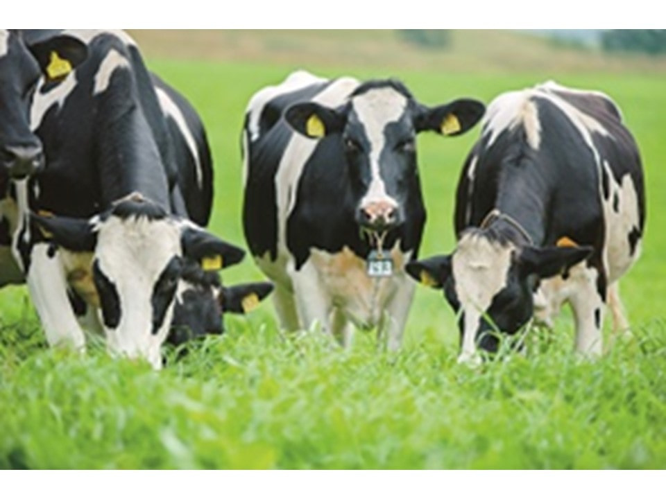 【送料込み】【北海道】「乳蔵」北海道アイスクリーム4種8個（乳蔵）※冷凍配送 【熨斗対応可】 ４種８個