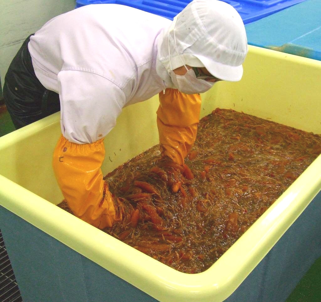 【送料込み】【北海道】数の子とかにの贅沢松前漬けセット（江戸屋） ※冷凍配送 【熨斗対応可】