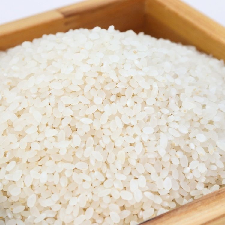 【送料込み】【新米】【福井県】福井県産 上田農園 ハナエチゼン 3kg(戸塚正商店) 3kg
